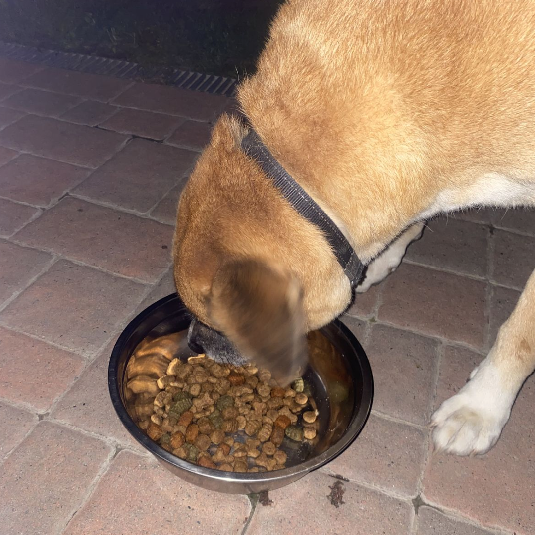 Yeast Infection Drops