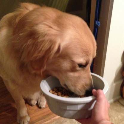 Yeast Infection Drops